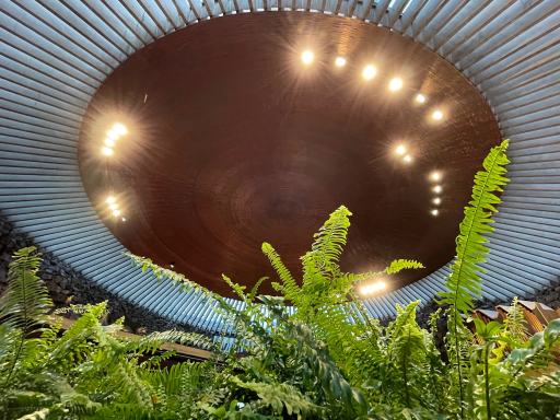 The Ceiling
