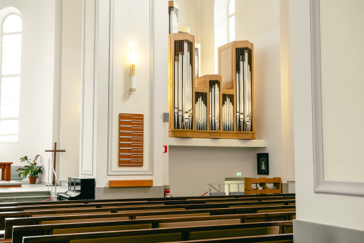 The Organ