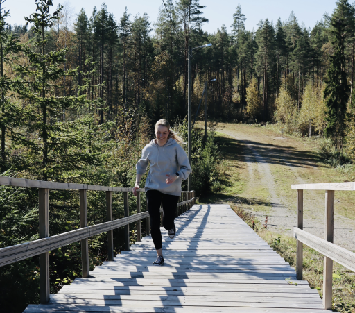 Fitness Stairs
