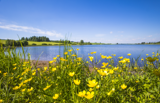 Kopsalanmäki beach
