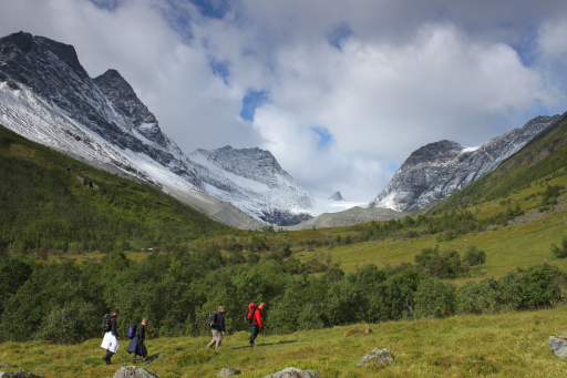 Steindalsbreen
