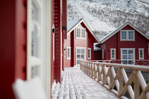 XLyngen