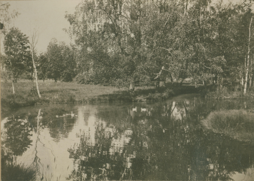 English Garden