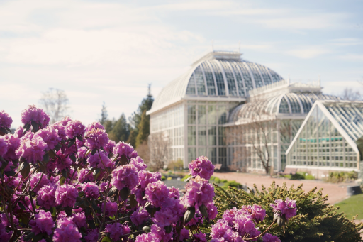 Kaisaniemi Botanic Garden