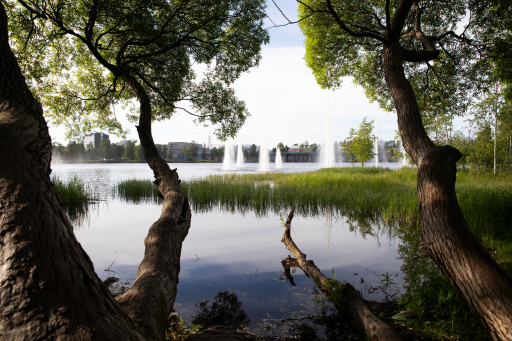 Hupisaaret City Park