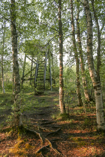 Akionlahti Birdwatching Tower