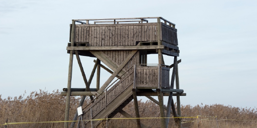 Sannanlahti Birdwatching Tower