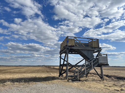 Matokorpi Birdwatching Tower