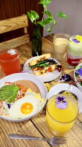  Noyolo Café