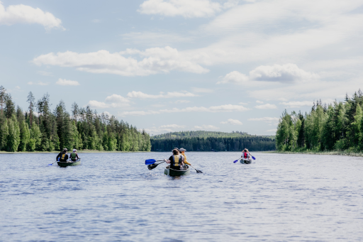 The magnificent Lake Saimaa for outdoor enthusiasts – four ways to enjoy nature in Juva