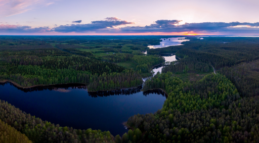 The History of Juva