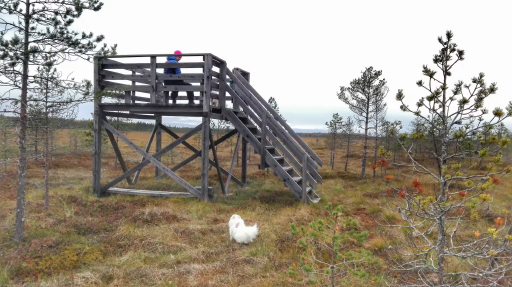 Iso-Huppio Bird Watching Tower