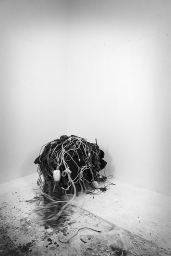 Nina Lassila - Creature
