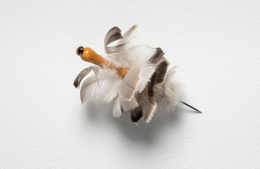 Maija Albrecht - Sharp Observation
