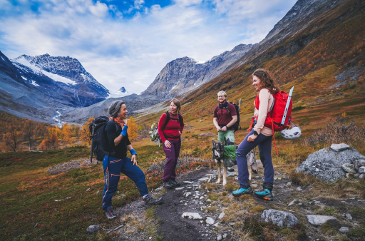 Getting around in the Lyngenfjord region