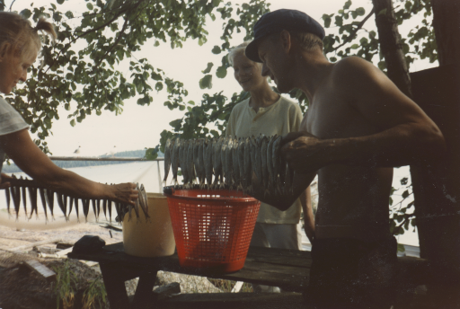 Island Everyday Life