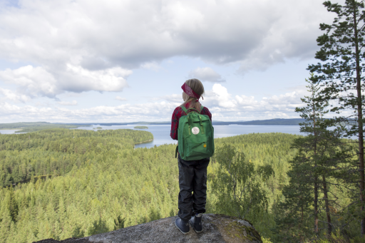 Hyyppäänvuori
