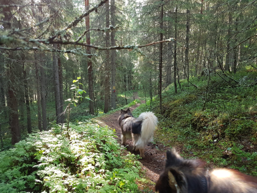 Markkuu Nature Trail 10 km