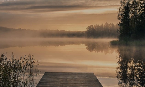 Pitkäniemi III
