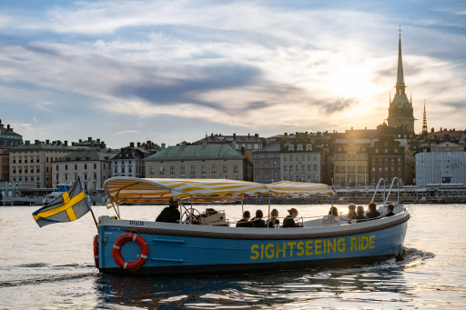 THE SIGHTSEEING RIDE