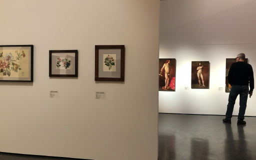 The Museum Card
