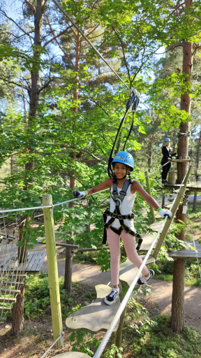 Adventure Park Korkee Mustikkamaa
