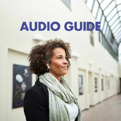 Audio guide