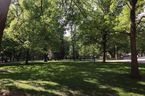 The Old Church Park 